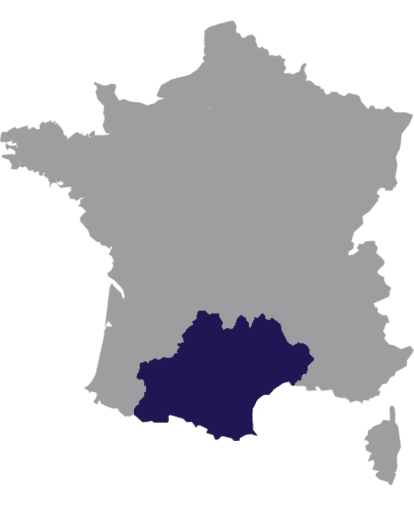 Landkaart Frankrijk grijs met regio Occitanie donkerblauw op transparante achtergrond - 600 * 733 pixels
